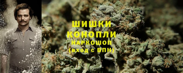 ПСИЛОЦИБИНОВЫЕ ГРИБЫ Богородицк