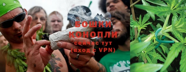 ПСИЛОЦИБИНОВЫЕ ГРИБЫ Богородицк
